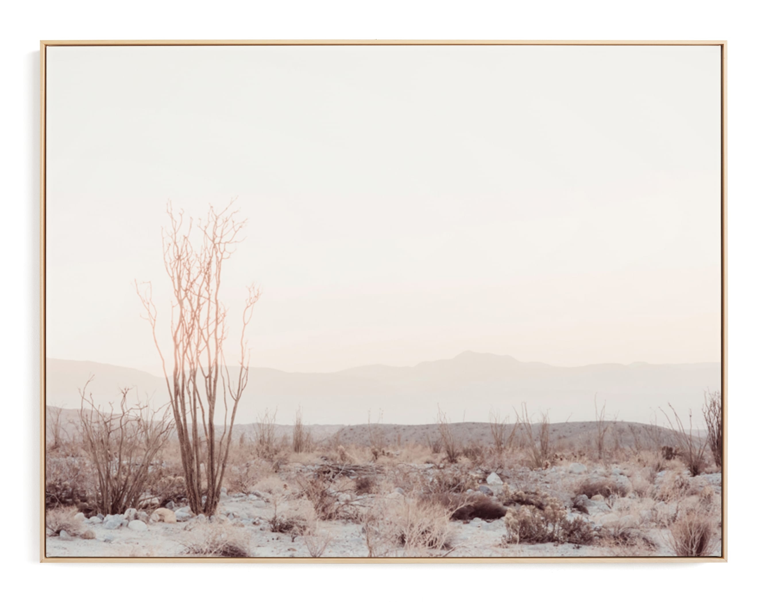 Ocotillo II Art Print - Image 0