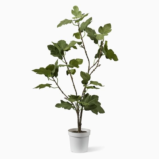 Faux Potted Fig Tree, 36'' - Image 0