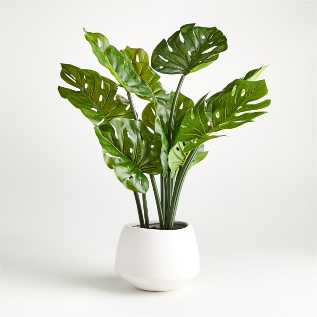 Faux Potted Monstera - Image 1