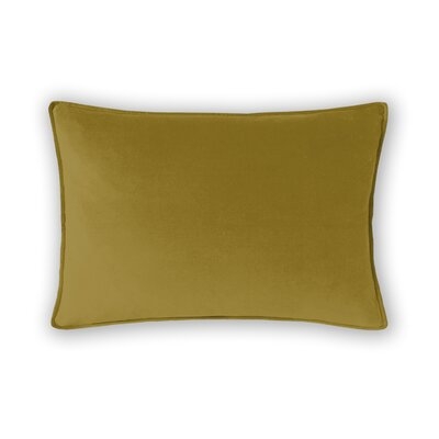Alla Rectangular Velvet Pillow Cover & Insert - Image 0
