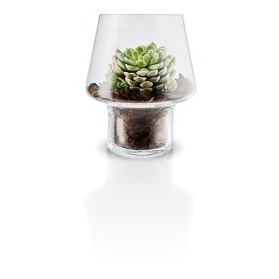 Clear Glass Table Vase - Image 0