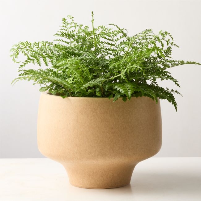 Dinah Beige Ceramic Planter Large - Image 0