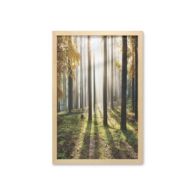 Landscape Sunrise in the Forest Leaves in Seasonal Woodland Scenery - Picture Frame Photograph Print on Fabric - Image 0