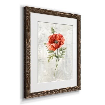 Linen Poppy - Picture Frame Graphic Art Print on Paper - Image 0