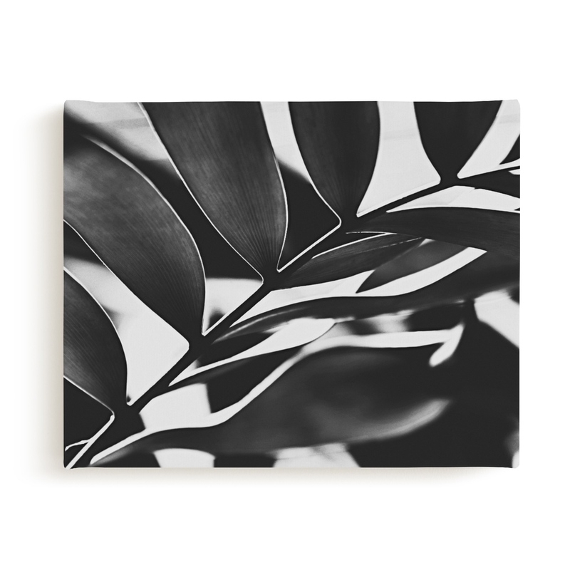 GLOWING BOTANICAL I Limited Edition Fine Art Print 1 - Image 0