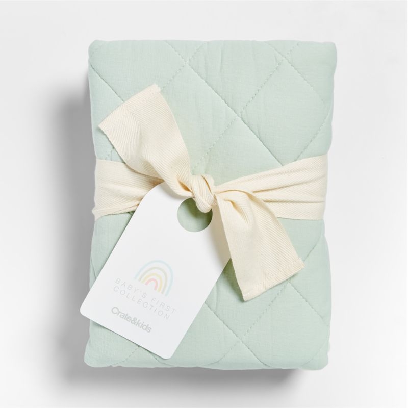 Baby's First Green Organic Jersey Baby Changing Pad Cover - Image 1