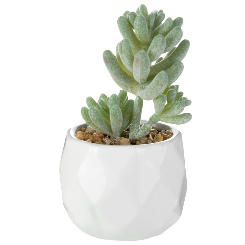 4-Piece Artificial Succulent Plant in Pot - Image 3