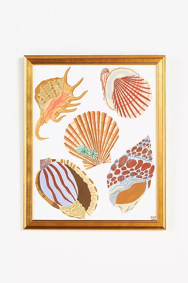 Shells Wall Art - Image 0