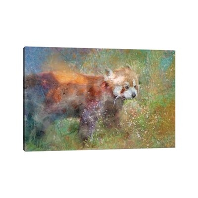 Splashy Red Panda by Kevin Clifford - Wrapped Canvas Gallery-Wrapped Canvas Giclée - Image 0