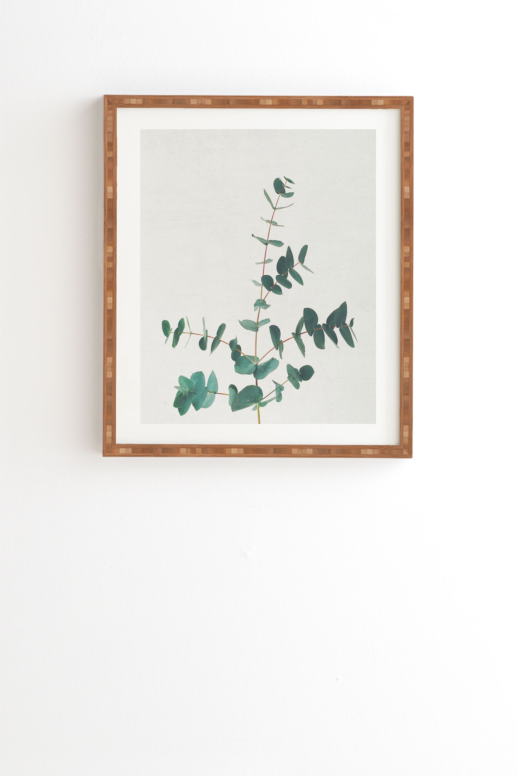 The Eucalyptus by Cassia Beck - Framed Wall Art Bamboo 19" x 22.4" - Image 0