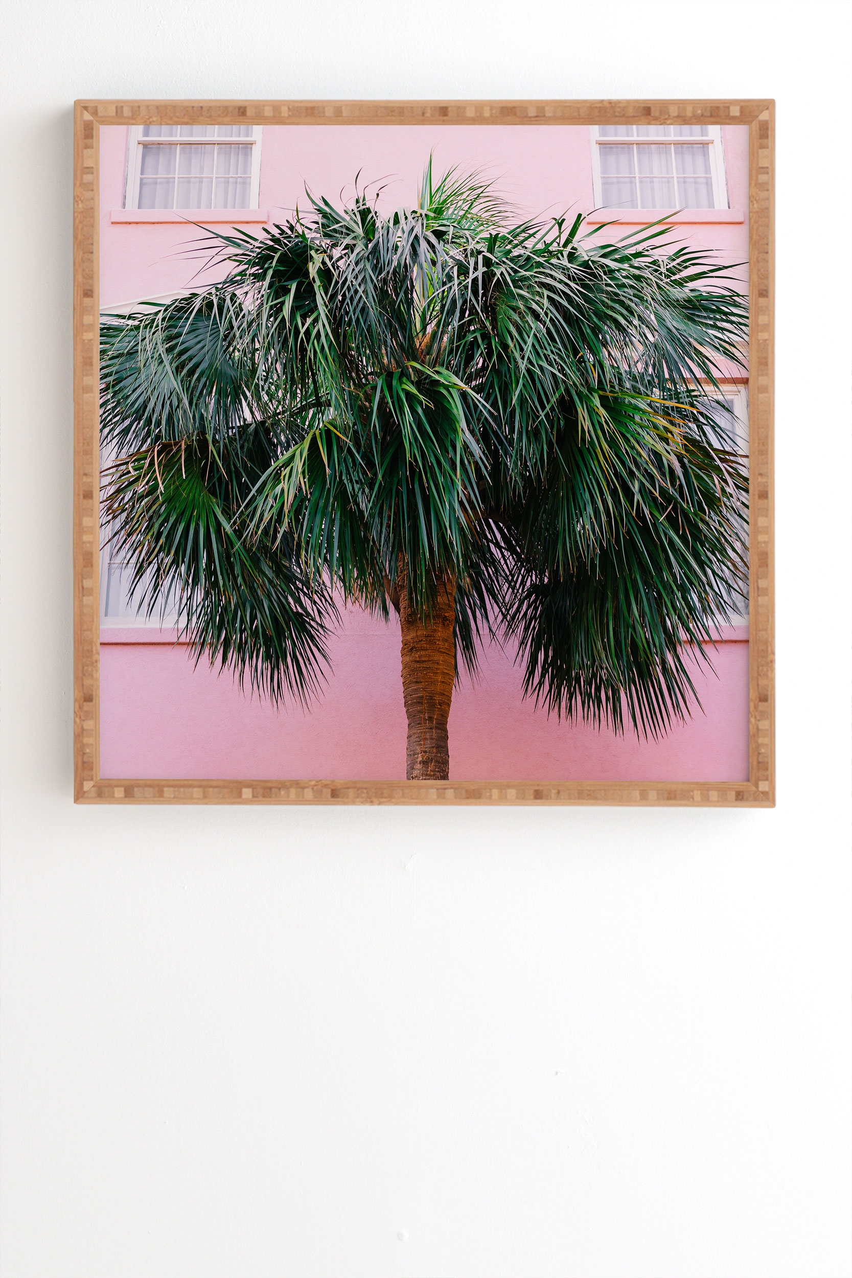 Charleston Pink by Bethany Young Photography - Framed Wall Art Bamboo 20" x 20" - Image 0
