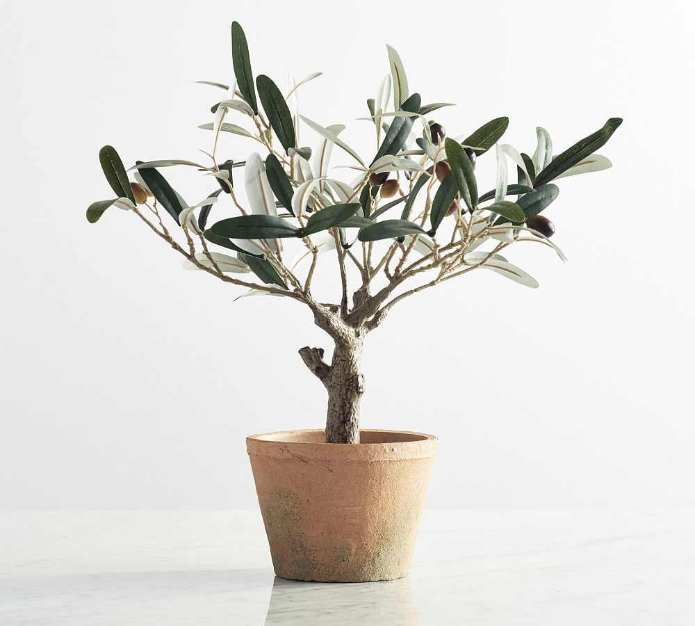 Faux Potted Olive Tree, Mini - Image 0