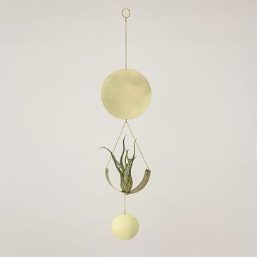 Airplant Wall Hanging, Brass - Image 1