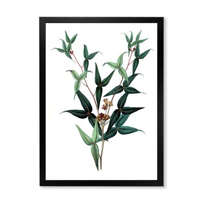 Vintage Green Leaves Plants VIII - Traditional Canvas Wall Art Print FDP35472 - Image 0
