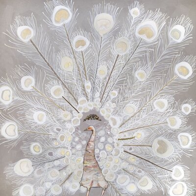 'White Velvet Peacock' - Wrapped Canvas Print - Image 0