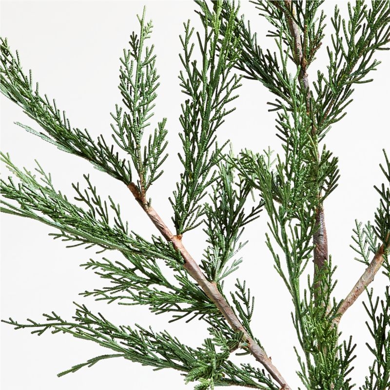 Extra-Large Faux Cypress Tree Stem 45" - Image 4