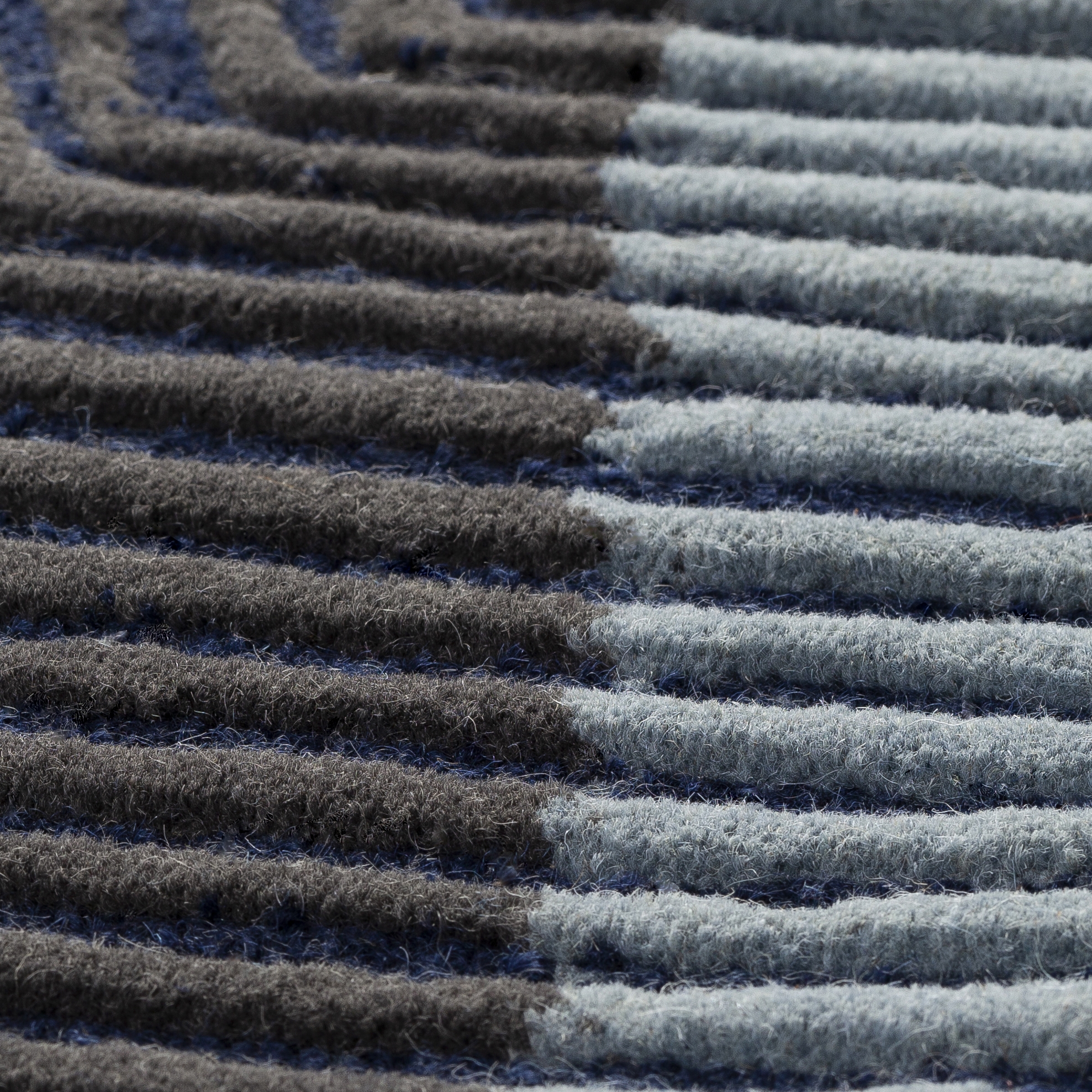 Harlequin Blue Indoor 9' x 12' Handmade Rug - Image 3