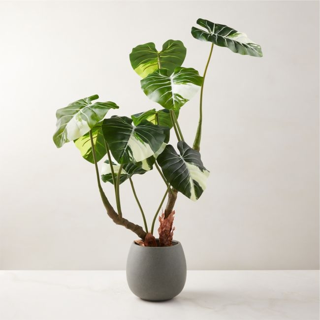Faux Potted Philodendron Gloriosum Plant 31" - Image 0