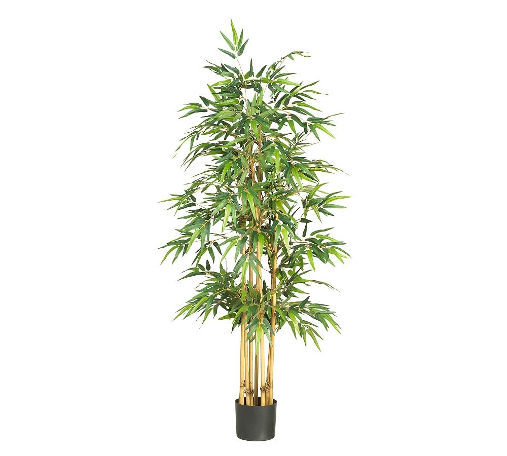 Faux Bamboo Silk Tree, 64" - Image 0