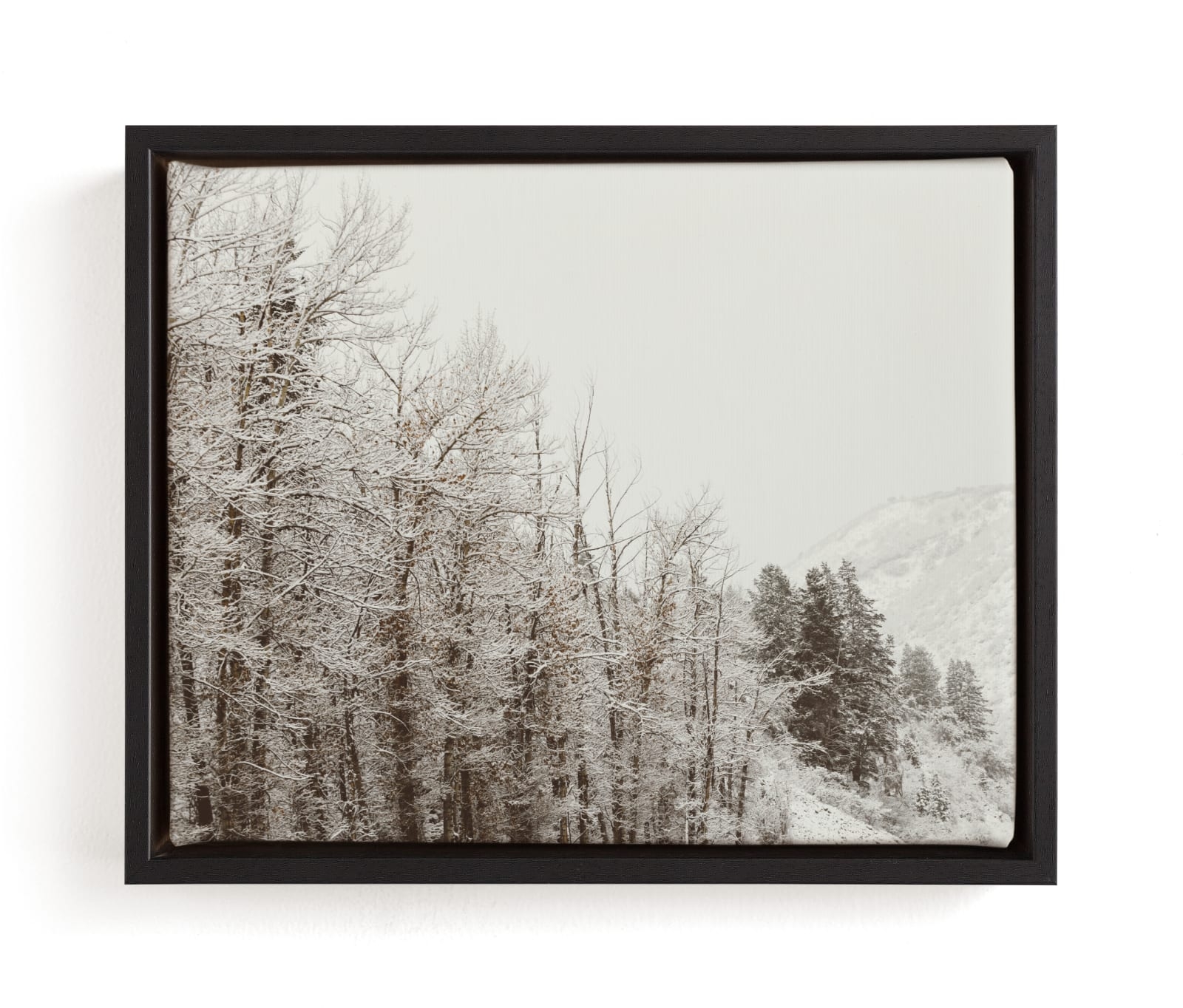 Argentum Pair I Limited Edition Fine Art Print 2 - Image 0