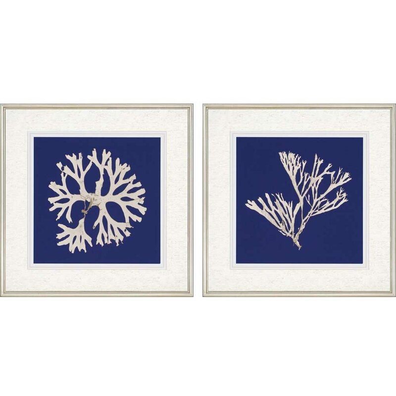 Paragon Seaweed I Giclee by Anonymous Framed Graphic Art Set - Image 0