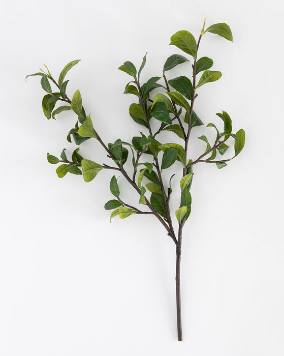 Faux Gardenia Leaf Branch - Image 3