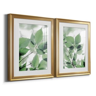  Irene Weisz Premium Framed Print - Ready To Hang - Image 0