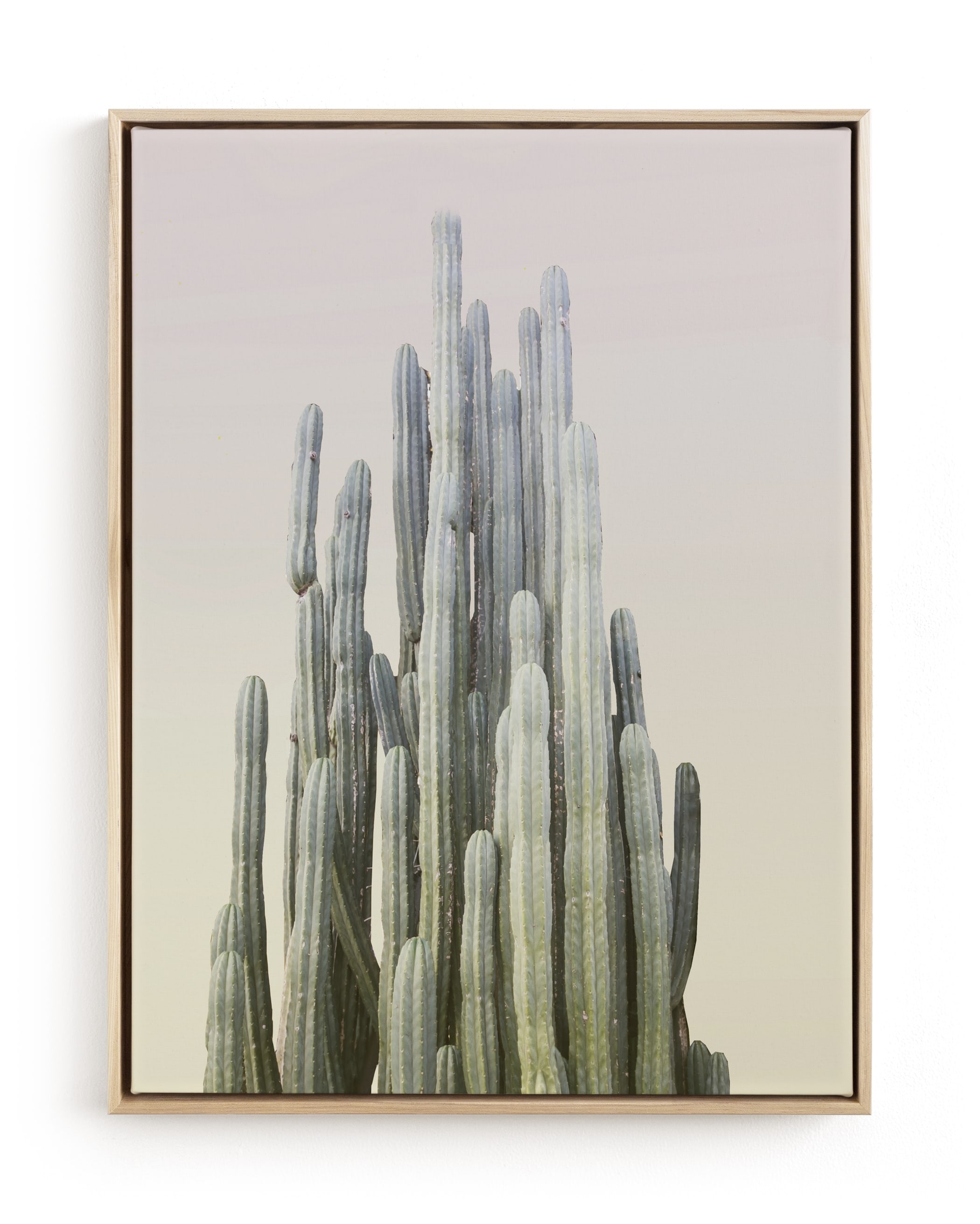Summer Yellow Cactus Limited Edition Fine Art Print 1 - Image 0