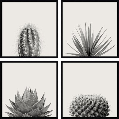 Haze Succulents  - set of 4  by The Creative Bunch Studio Framed Wall Art Prints - Image 0