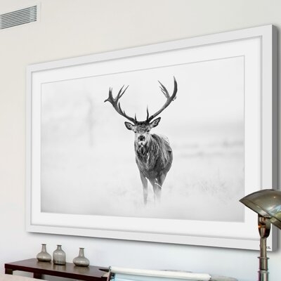 'Elk Stare' Framed Photographic Print on Paper - Image 0