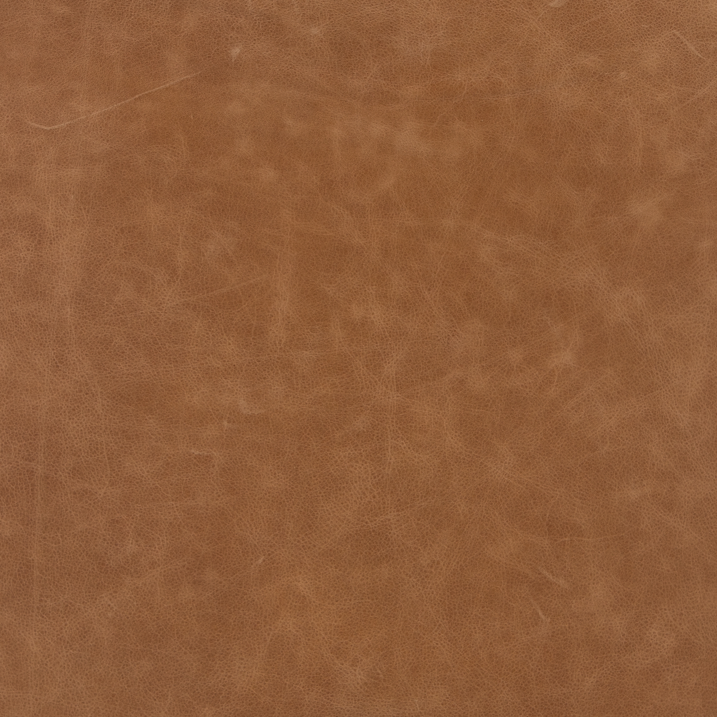 Imani Dining Chair - Sonoma Butterscotch - Image 5