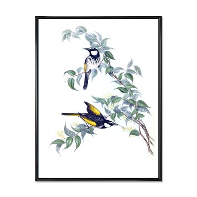 Vintage Australian Birds On A Branch - Traditional Canvas Wall Art Print-FDP37107 - Image 0