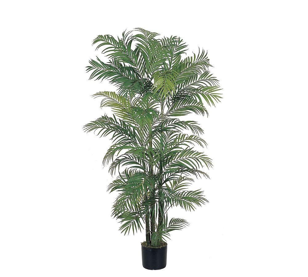 Faux Wide Areca Palm Tree, 6' - Image 0