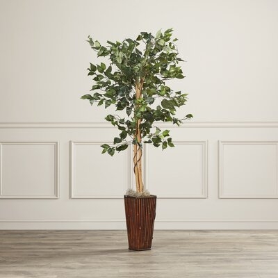 Artificial Ficus Tree in Decorative in Decorative Vase - Image 0