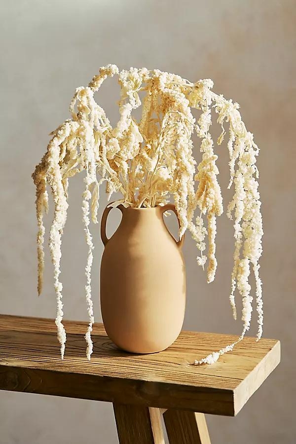 Bleached Hanging Amaranthus Bunch - Image 0