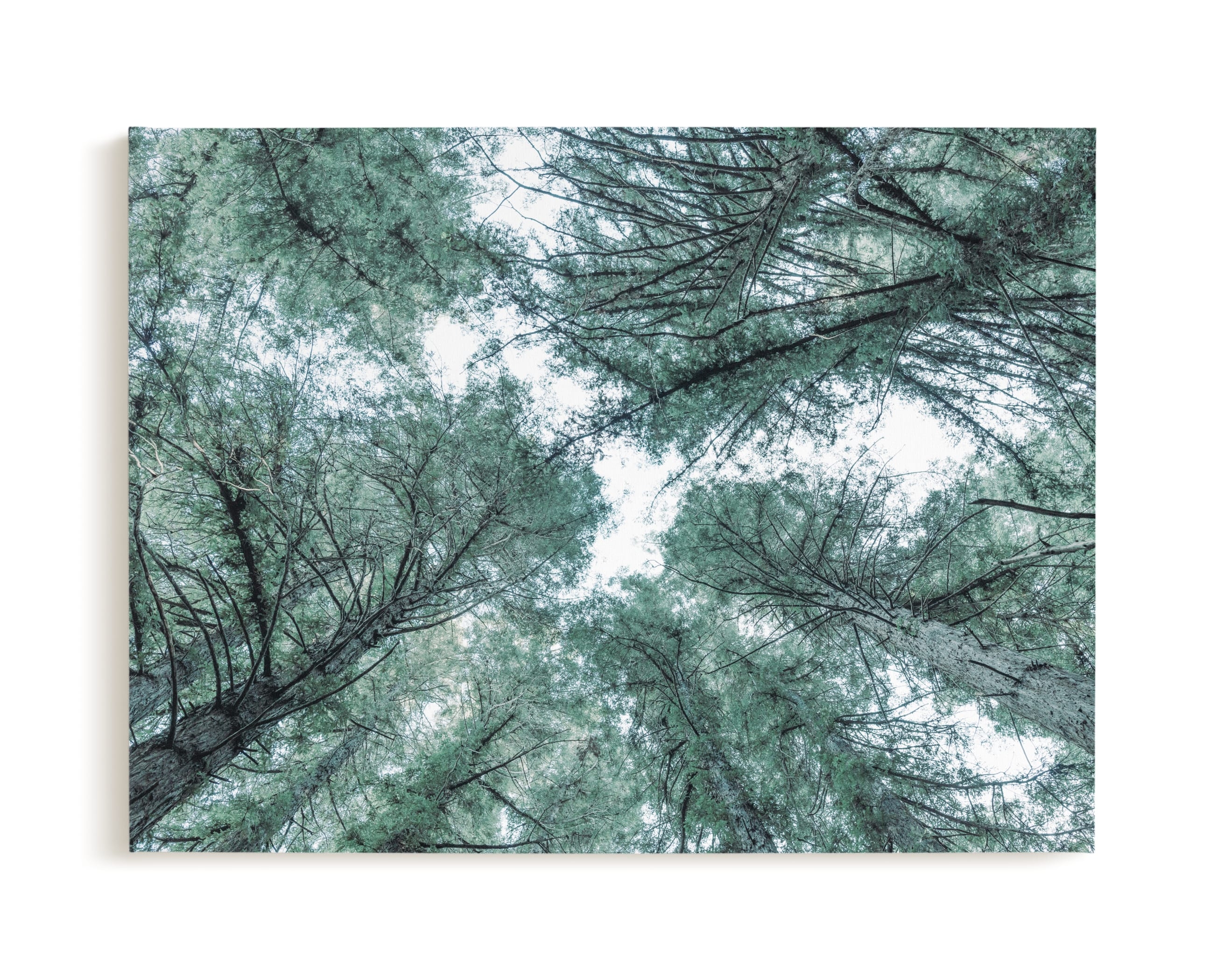 Mystifying Forest Limited Edition Fine Art Print 2 - Image 0
