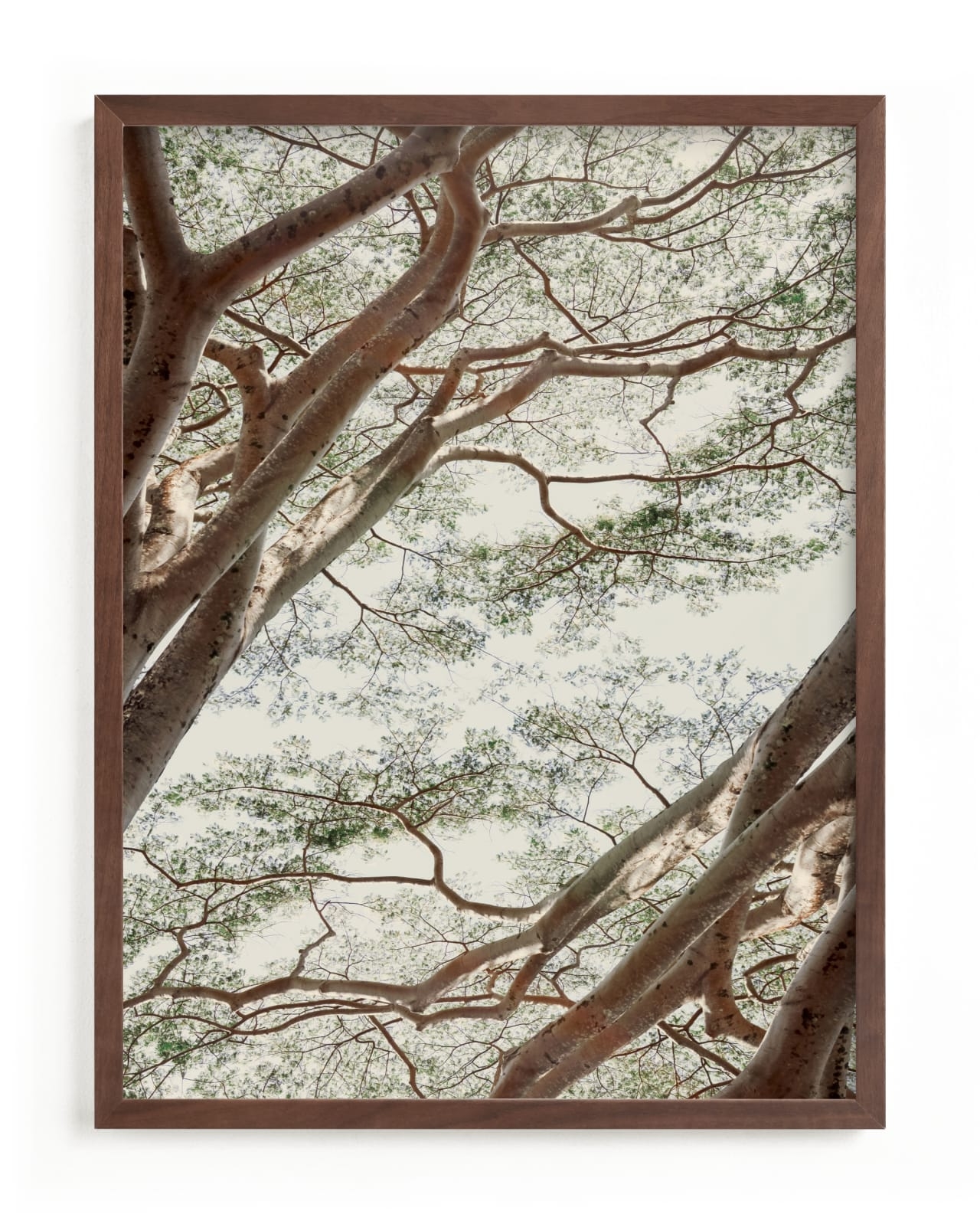 Tapestry I Limited Edition Fine Art Print 2 - Image 0