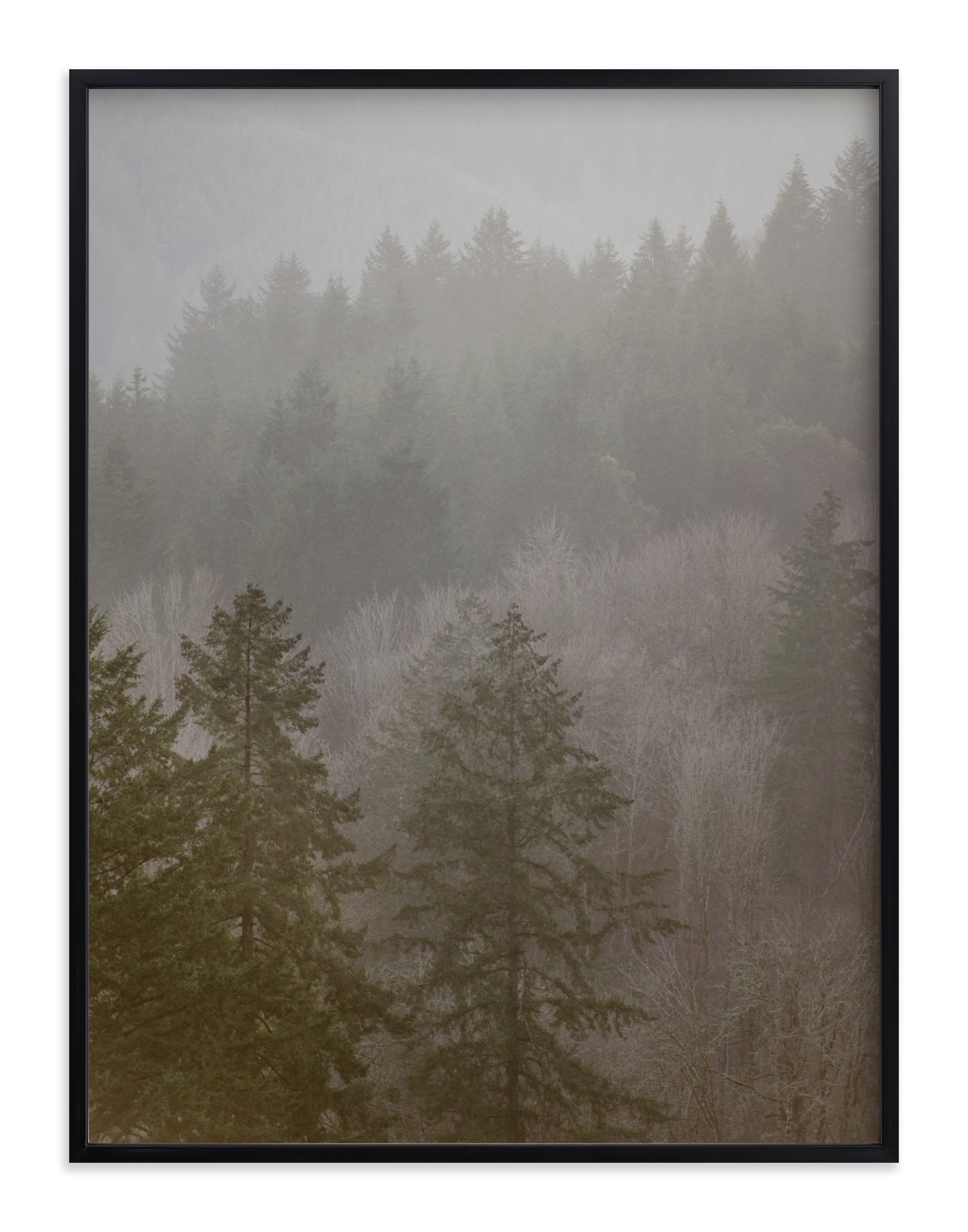 Pine Forest Limited Edition Art Print - Image 0