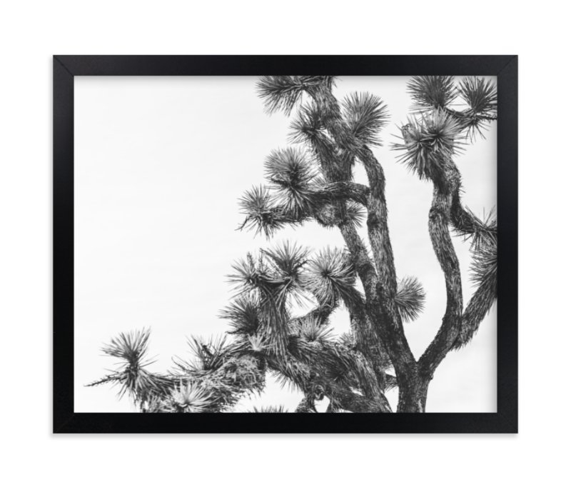 Joshua Tree In September Limited Edition Art Print - Image 0