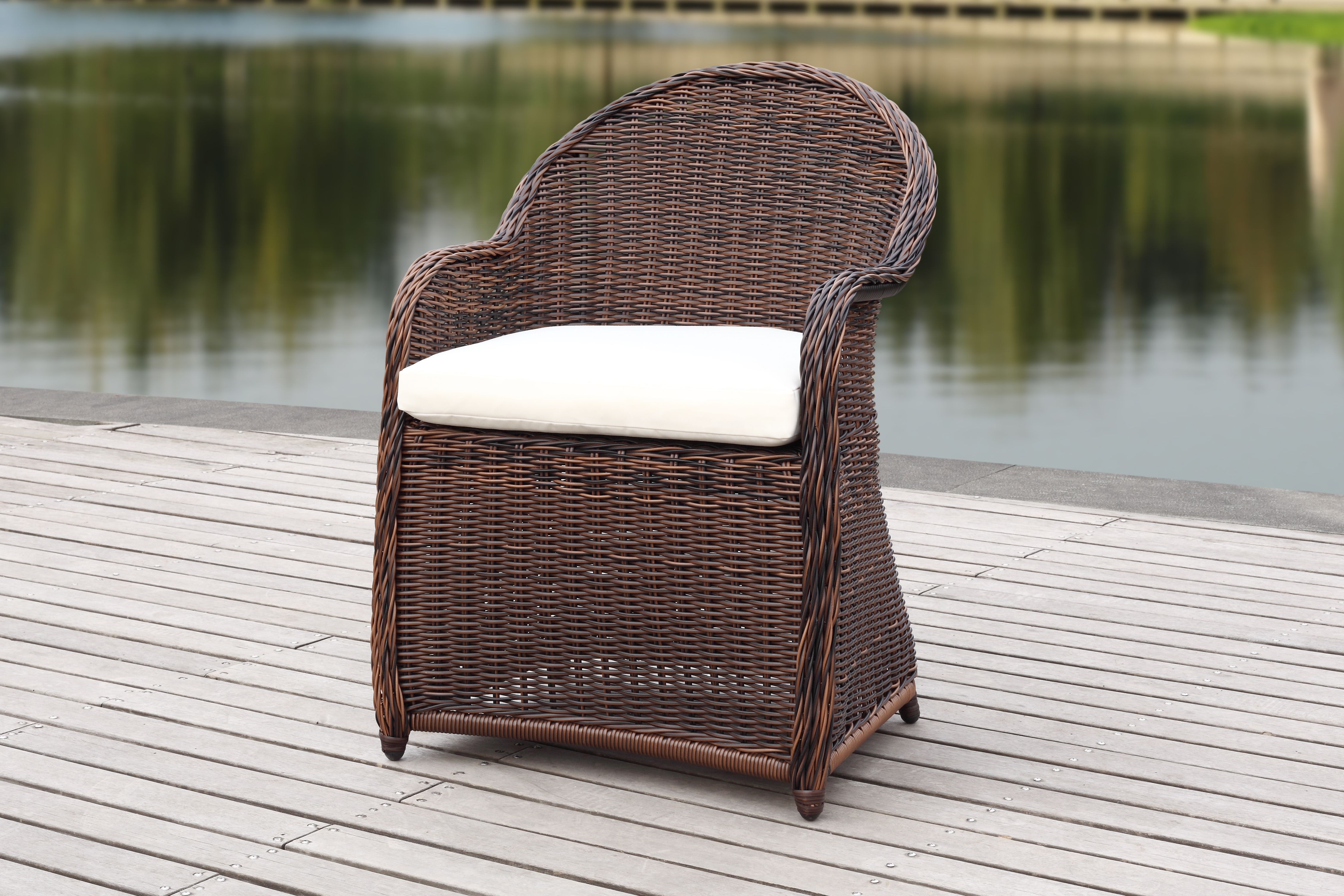 Newton Wicker Arm Chair With Cushion - Brown/Beige - Safavieh - Image 8