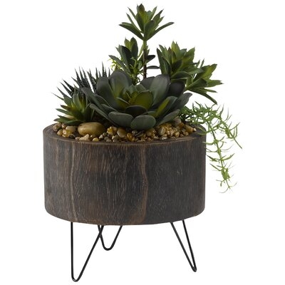 Yucca, Aloe and Echeveria Succulent in Wooden Planter with Legs - Image 0