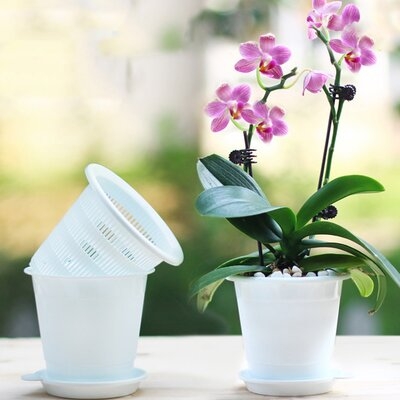 Good Drainage Slotted Hole Succulents Orchid Flower Inner Outer Pot Container - Image 0