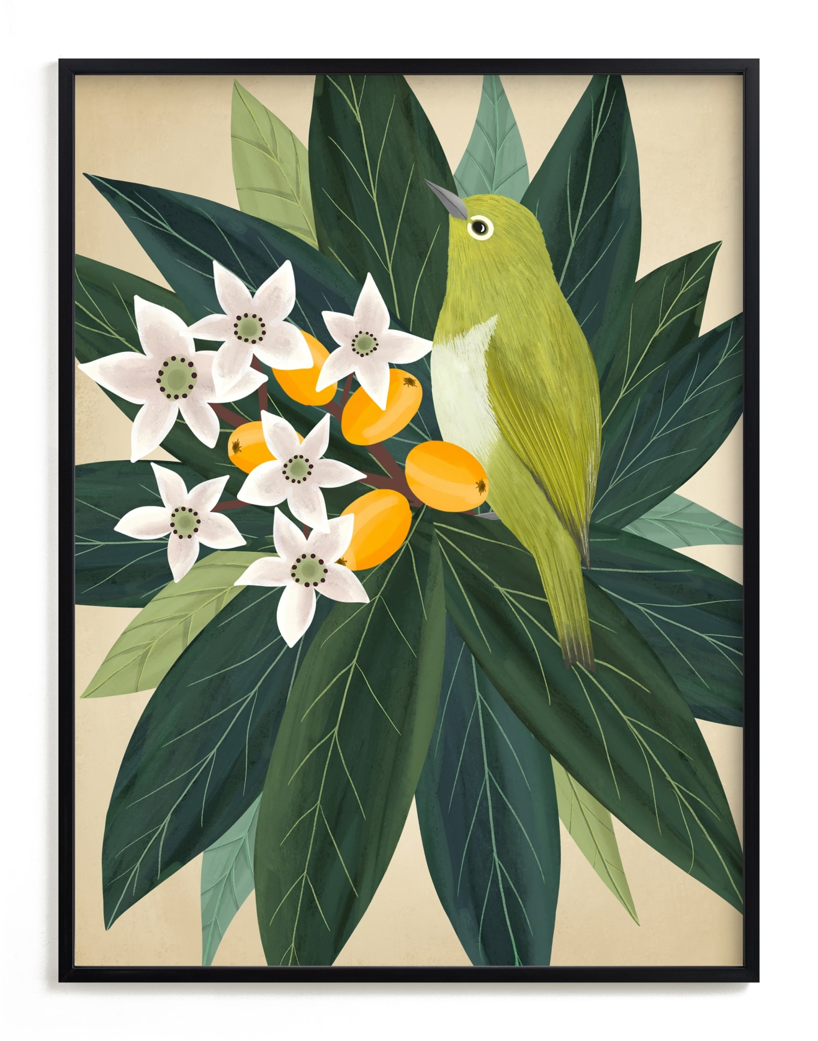 Loquat Limited Edition Fine Art Print 2 - Image 0