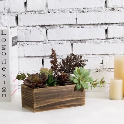 6 - Piece Artificial Succulent Plant in Planter Set - Image 0