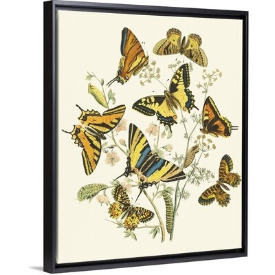 Butterfly Gathering I by Studio Vision - Print on Canvas - Image 0
