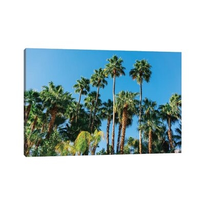 Palm Springs Palms III by Bethany Young - Wrapped Canvas Gallery-Wrapped Canvas Giclée - Image 0