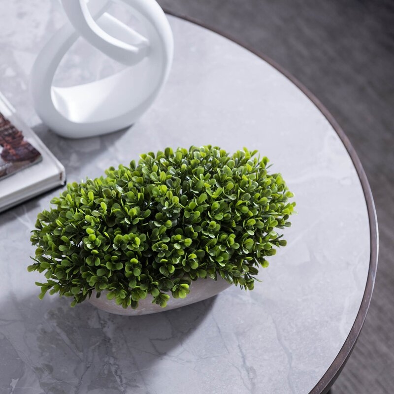 6.8'' Artificial Boxwood Plant in Pot - Image 4