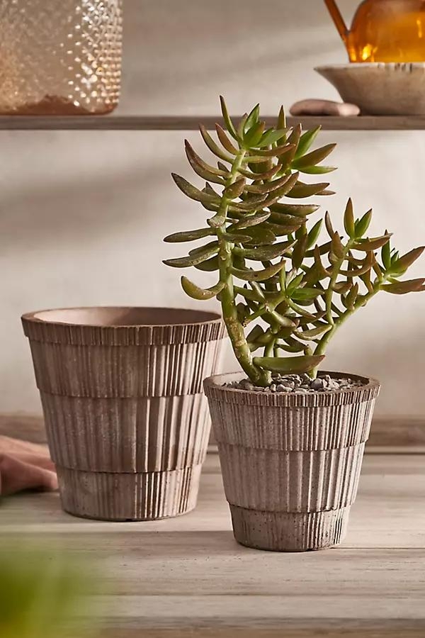 Atlas Terracotta Pot + Saucer Set - Image 0