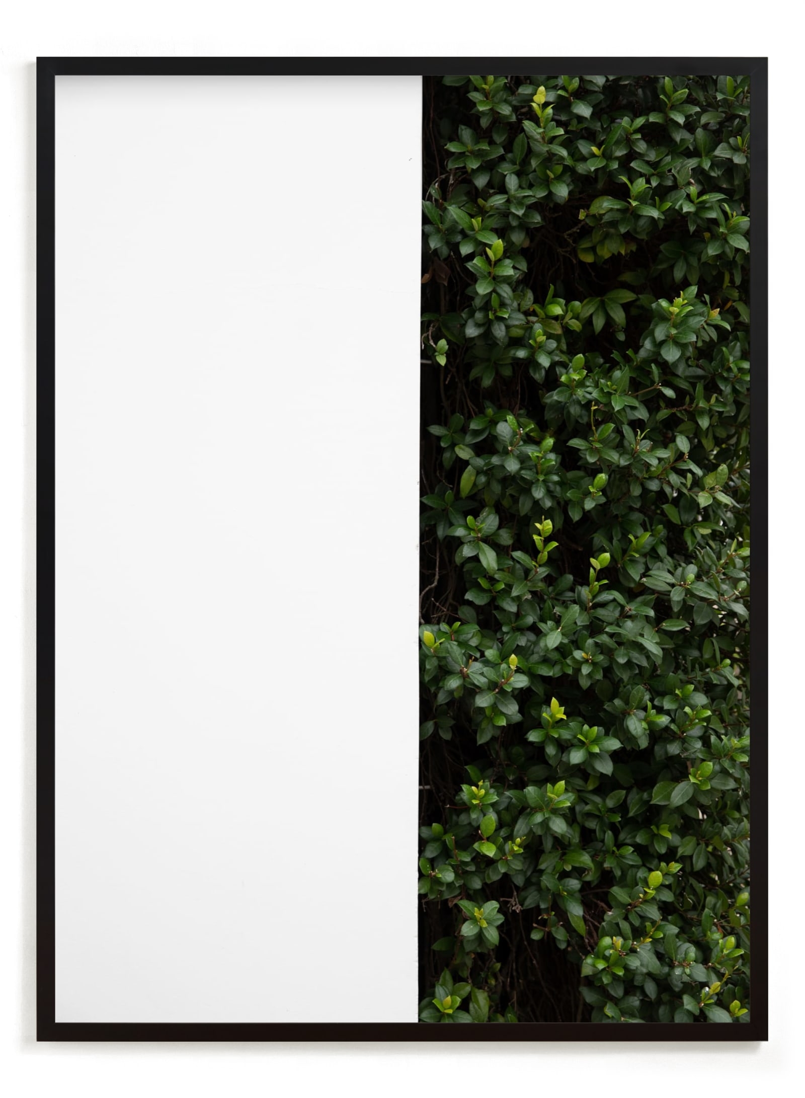 Verdant Garden III Limited Edition Fine Art Print 2 - Image 0