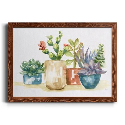 Summer Succulents I-Premium Framed Canvas - Ready To Hang - Image 0